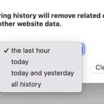 How-to-clear-search-history-on-Safari-on-Mac-2-1