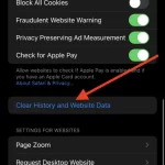 How-to-clear-search-history-on-iPhone-1